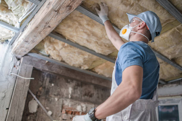 Best Insulation Contractors for Homes  in Salina, UT