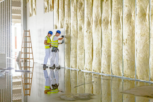 Best Blown-in Insulation  in Salina, UT